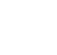 deutsches-edelstein-kontor-logo-white